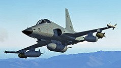 F-5E-Screen-05.jpg