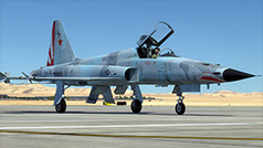 F-5E-Screen-06.jpg