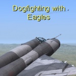 Dogfighting with Eagles