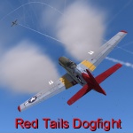 Red Tails Dogfight