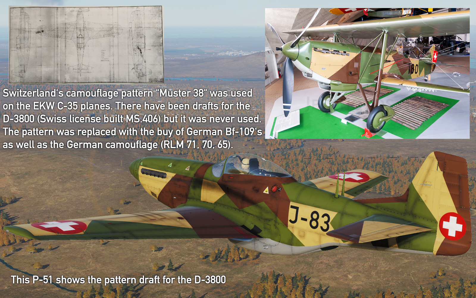 P-51D / TF-51D Fictional Muster 38 v3