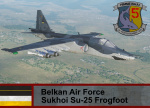 Belkan Air Force Sukhoi Su-25 - Ace Combat (5th FBS)