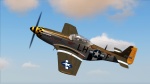 P-51 Skin "Janie"