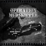 Operation Mudskipper