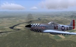 P-51D Big Dick