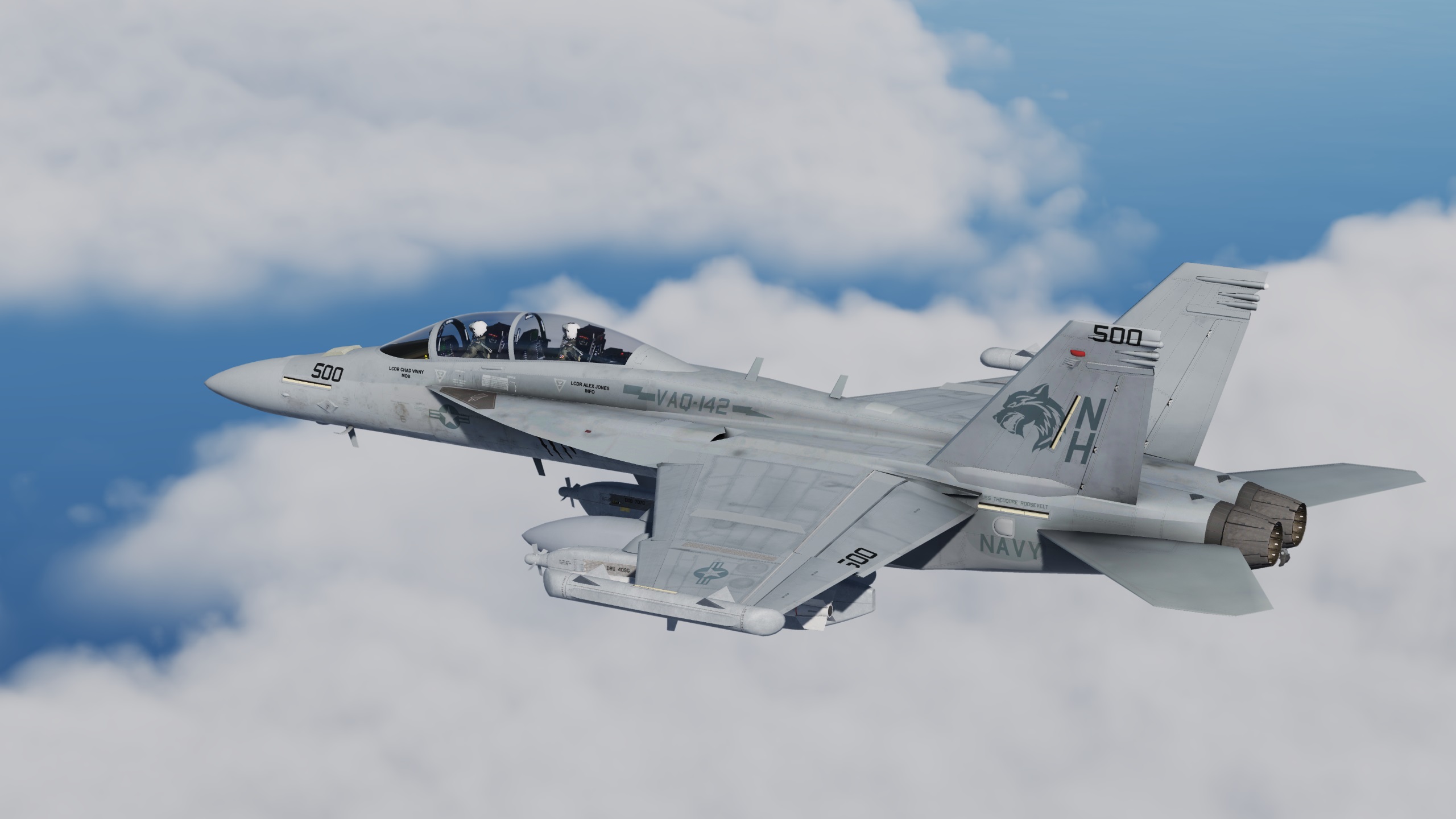 VAQ-142 "The Gray Wolves" EA-18G 2021 NEW CAG livery for CJS Superbug Mod