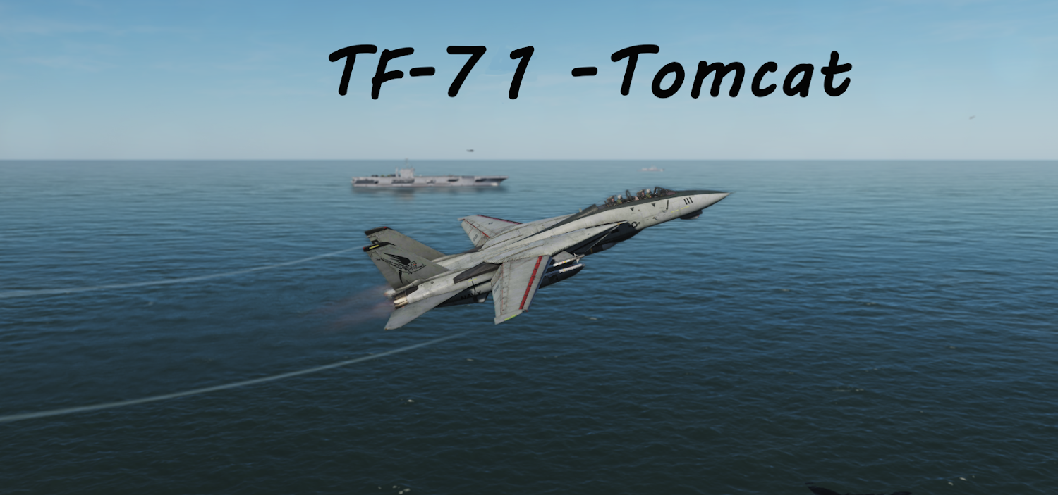TF-71 Tomcat using modified Mbot Dynamic Campaign Engine