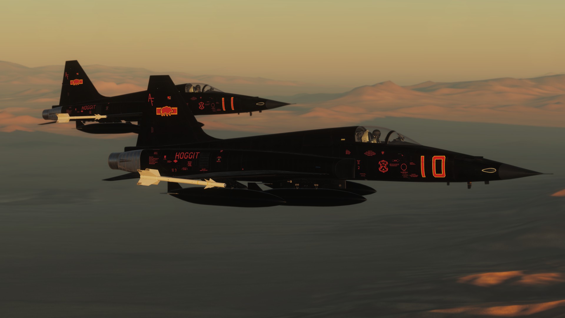 Hoggit Air Force Aggressors - (hoggit themed F-5E-3 livery)