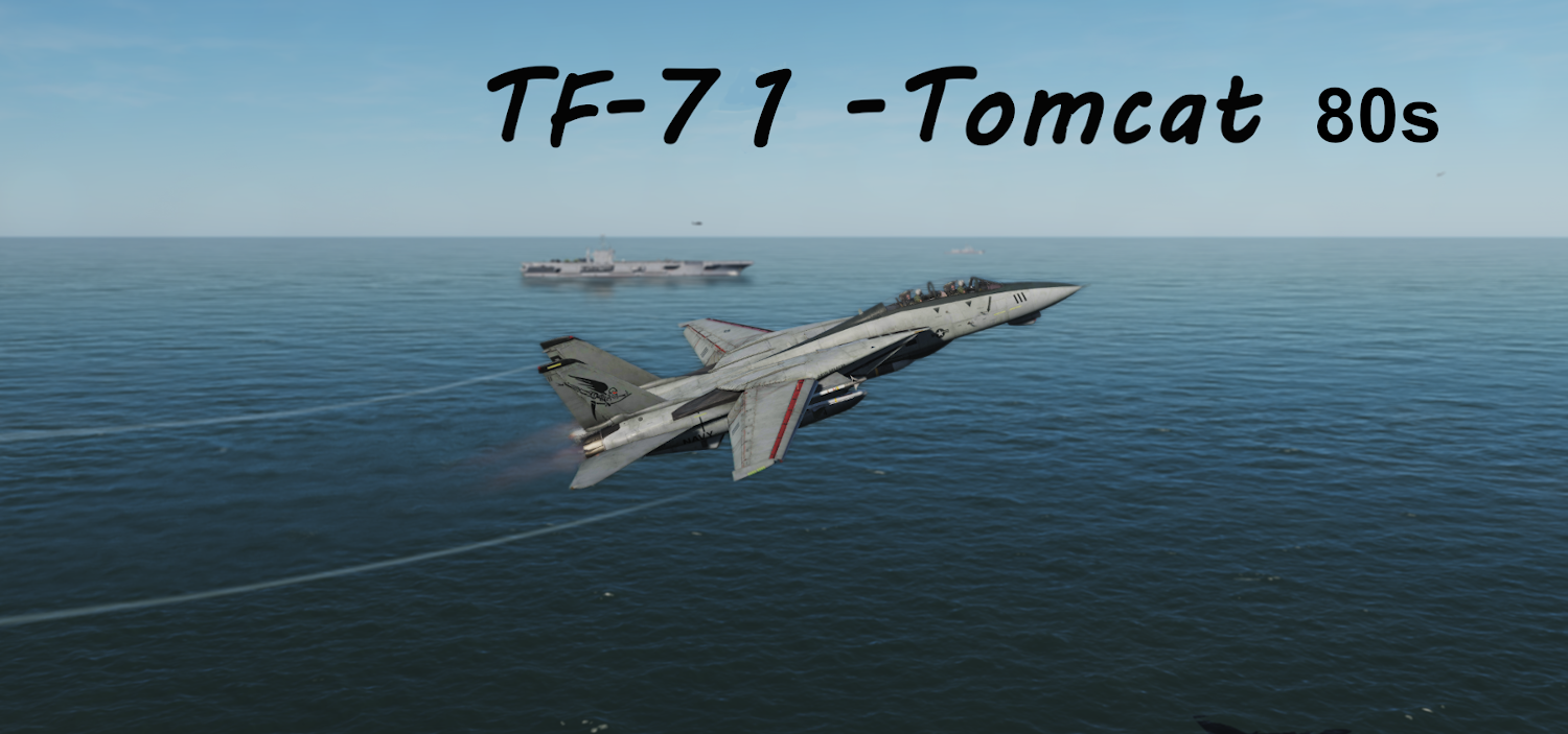 TF-71 Tomcat-80s using modified Mbot Dynamic Campaign Engine