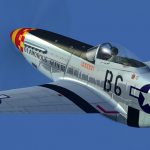 Fine chassis tuning and FM tuning P-51D