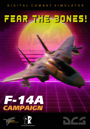 战役 F-14A: 恐惧骷髅头