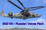 BS2 EN - Russian Voice pack