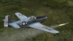 P-51 Skin "USAF ANG FF-704"