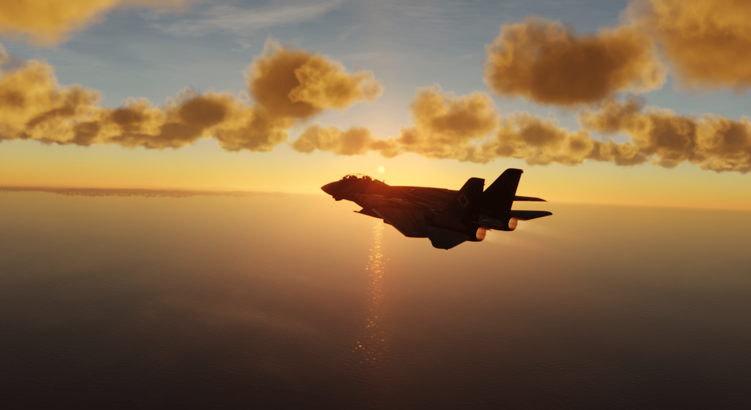 F14B Tomcat Pilot & RIO Startup Checklists Outdated