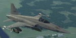 F-5E Ustio Air Force - Galm One -  Ace Combat Zero
