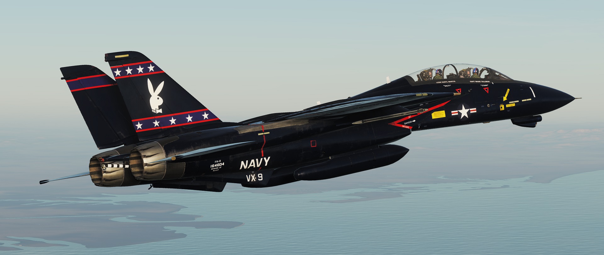F-14 VX-9 "Vandy 1" Black Bunny v1.1