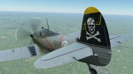 Spitfire (Jolly Rogers) F14 skin