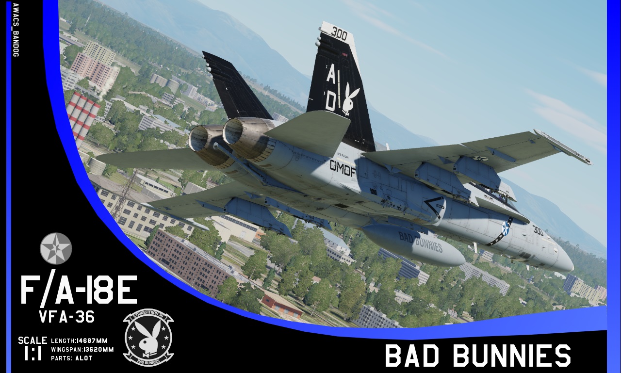 Ace Combat - Strike Fighter Squadron 36 "Bad Bunnies"