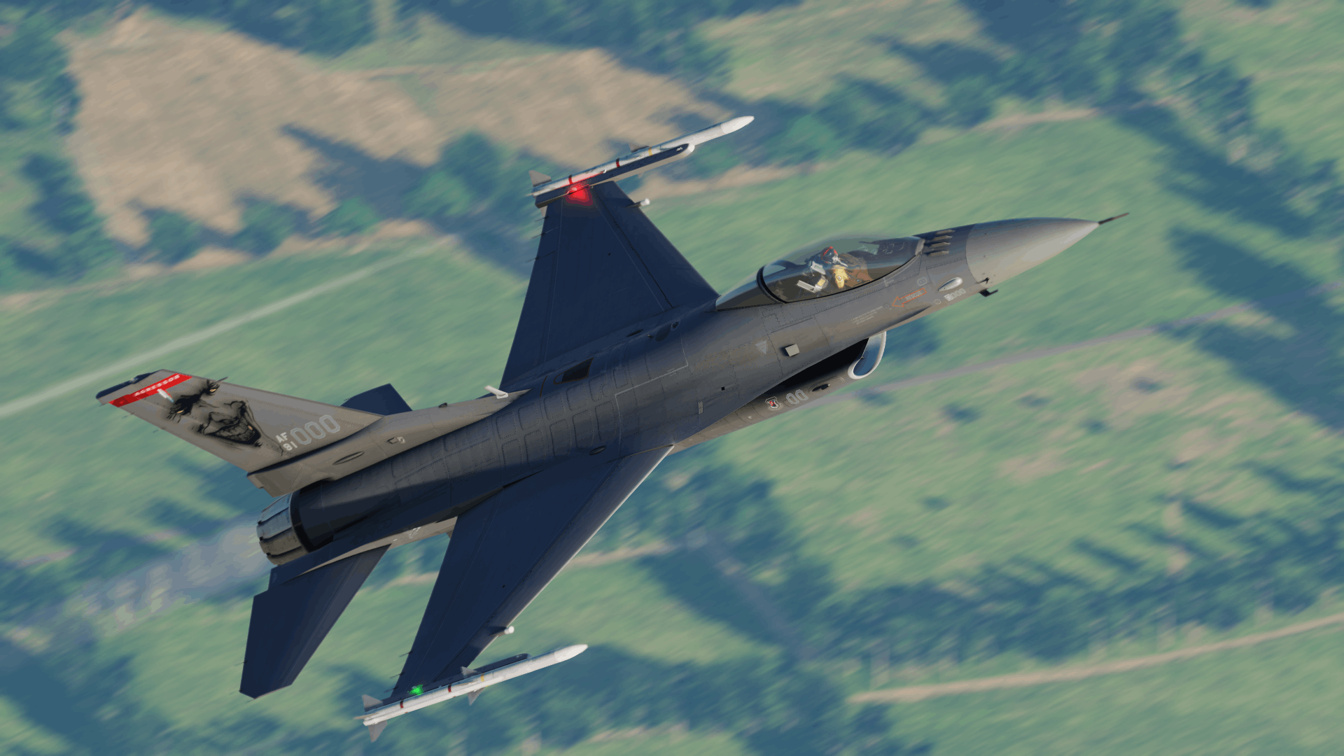 Fictional Skin (CZ+SK) for F-16C