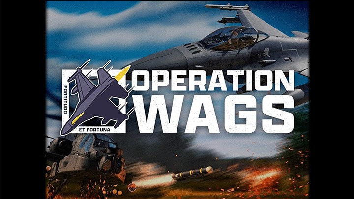 Operation Wags