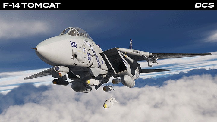 F-14 Tomcat
