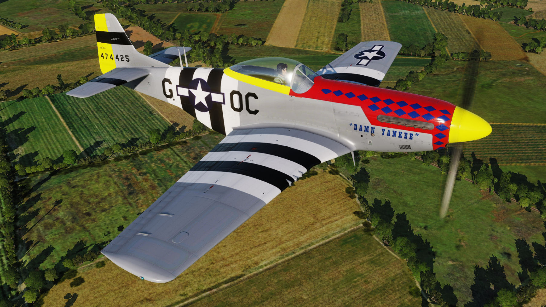 USAF_359thFS_356thFG_OC-G_Damn Yankee.