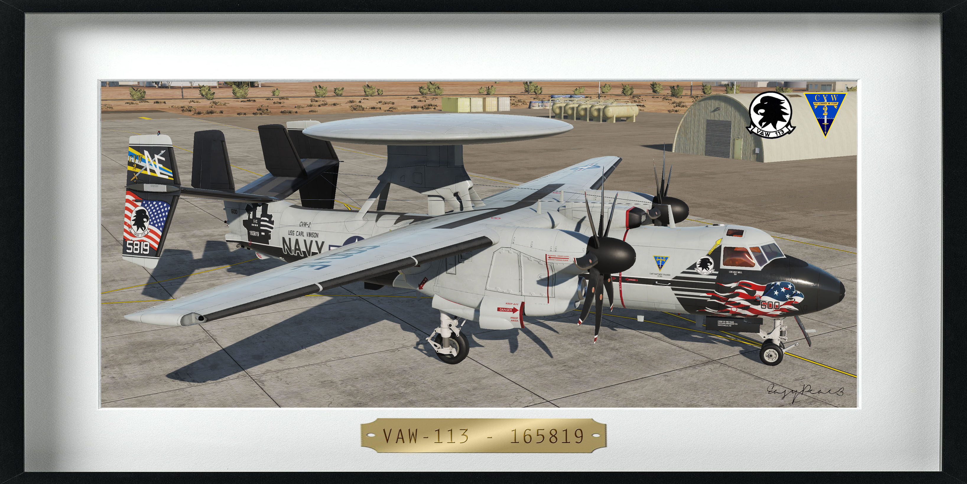 VAW-113 - "Black Eagles" - 165819 (4K)