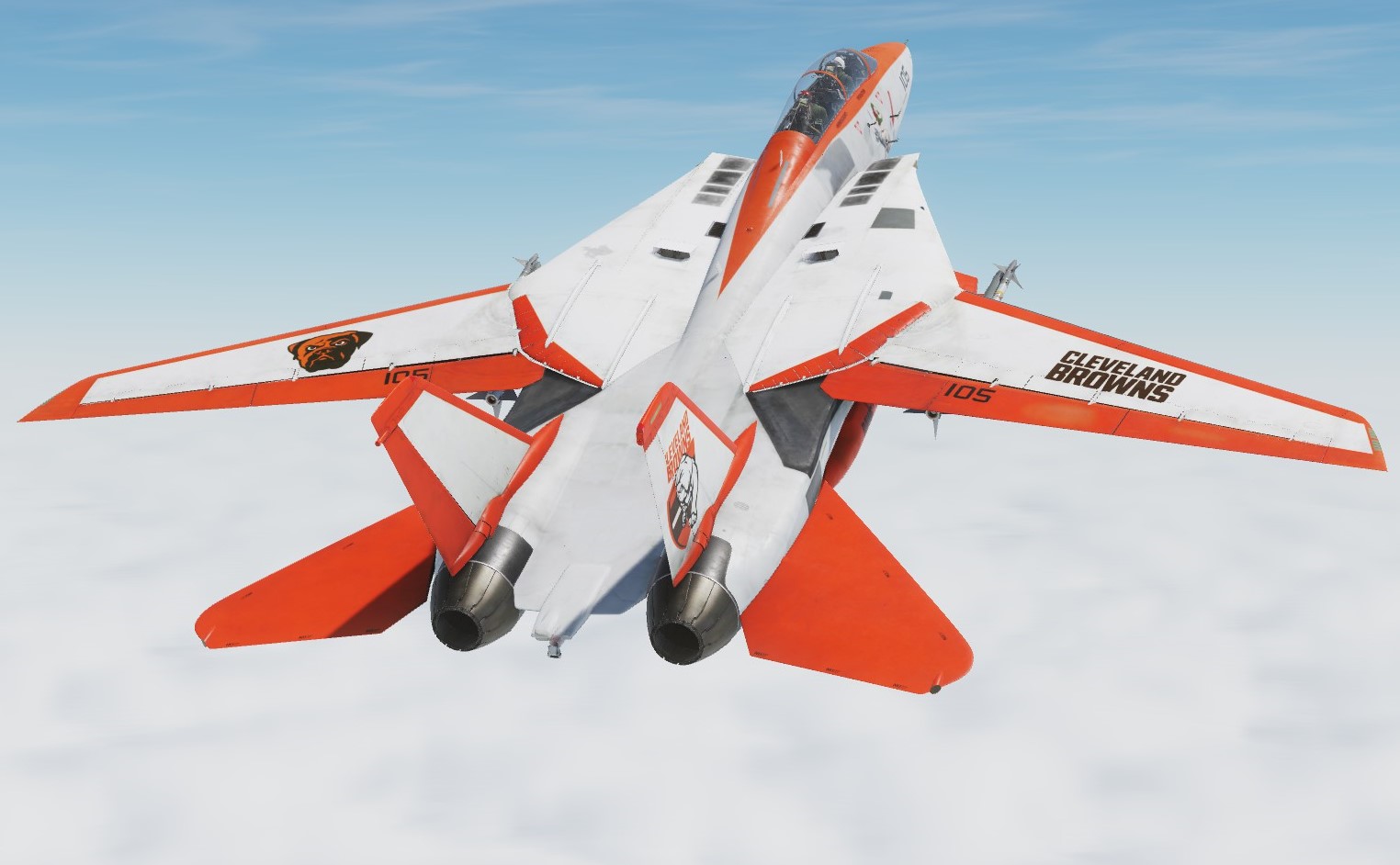 F-14B Browns less Orange