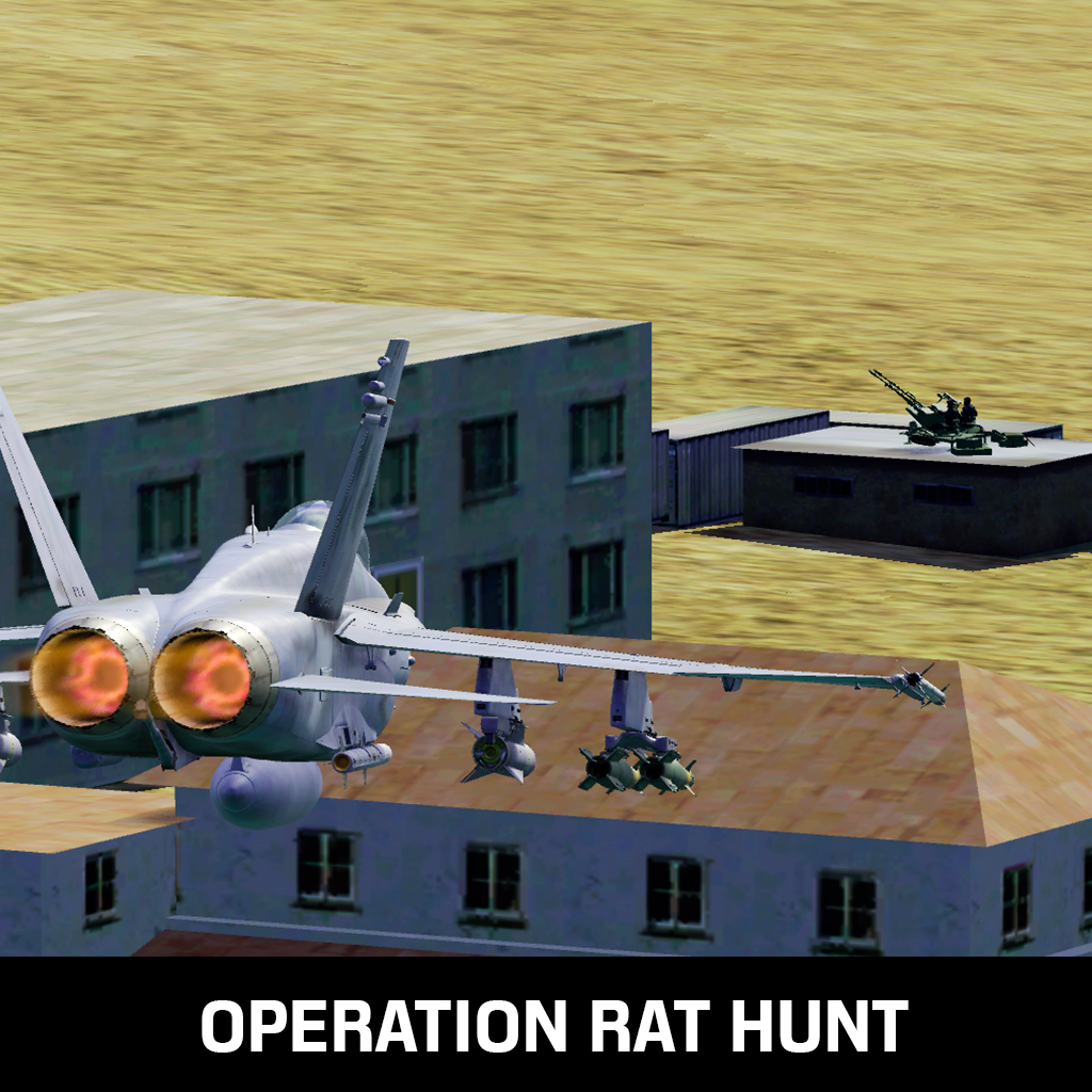 [COOP 4] Operation Rat Hunt - F/A-18C Persian Gulf Supercarrier