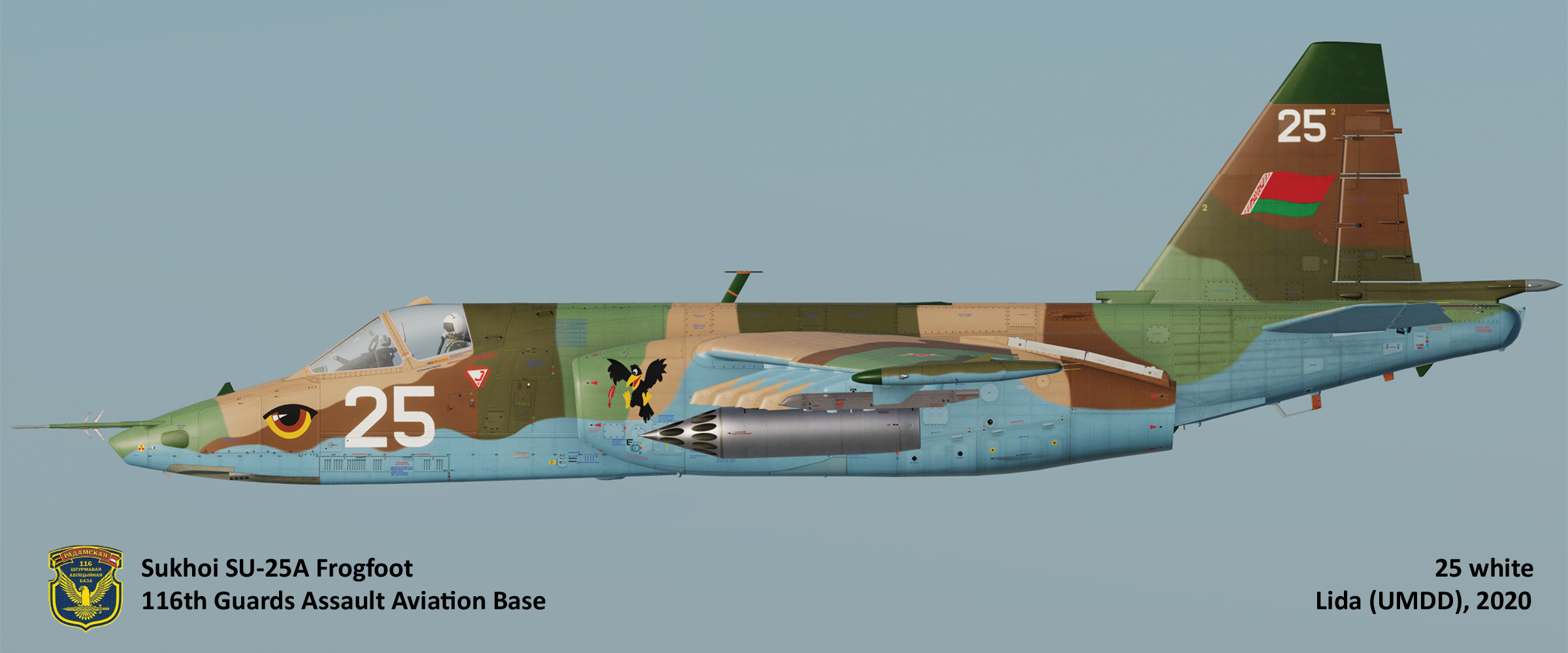 Su-25 Belarus Air Force