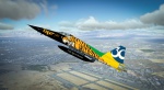 Força Aérea Brasileira / F-5E Tigre II / FAB 4841 / FAB 4846
