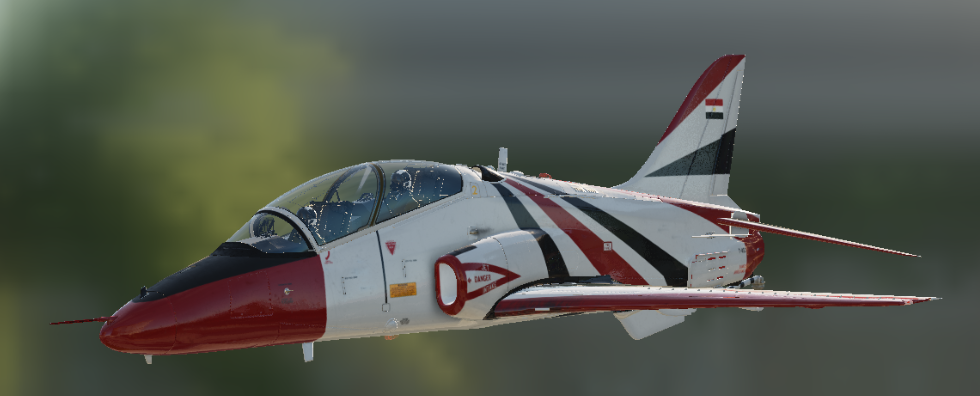 VNAO T-45 Egyptian Silver stars Team