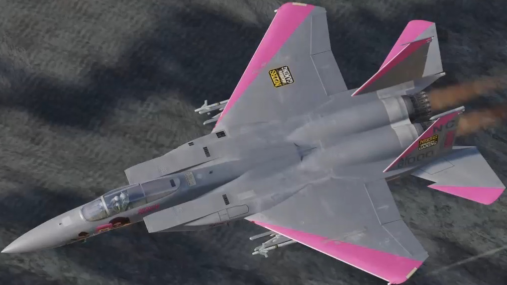 Neebs Gaming Simon F-15C 