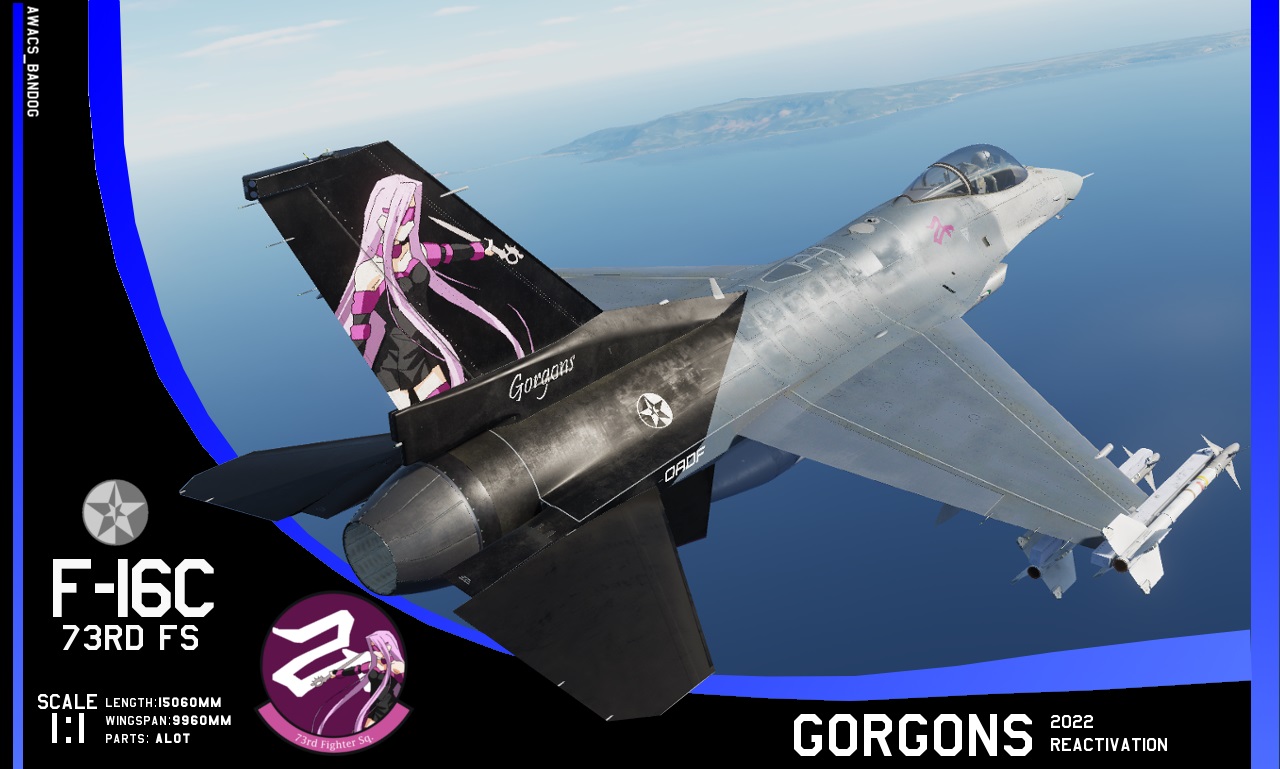 Ace Combat - 73rd Fighter Squadron "Gorgons" 2022 Reactivation 