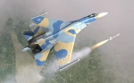 Ukranian SU-27 Low-Viz Fictional Skin