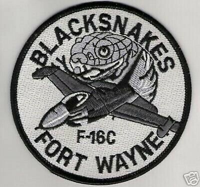 F-16C 122nd Blacksnakes 
