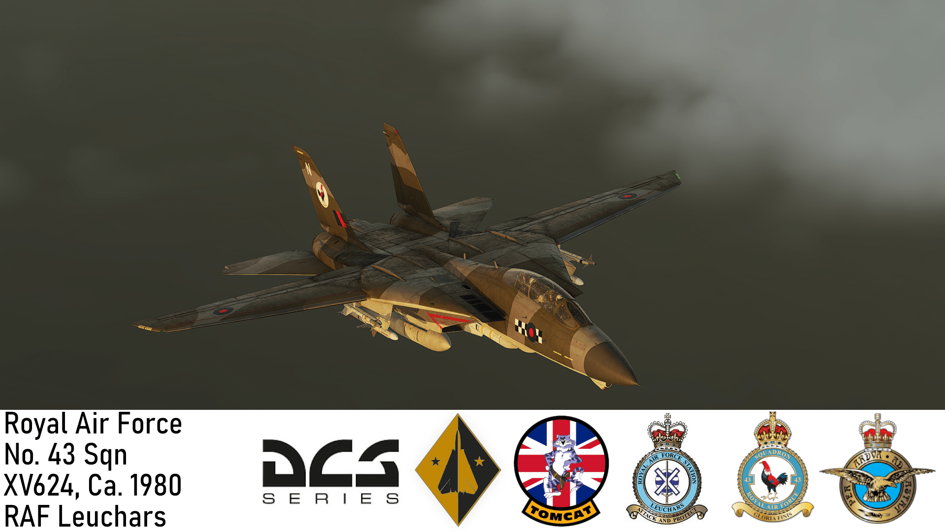 Royal Air Force Tomcat FGR.2 (F-14M) 1980s No 43 Sqn Camo