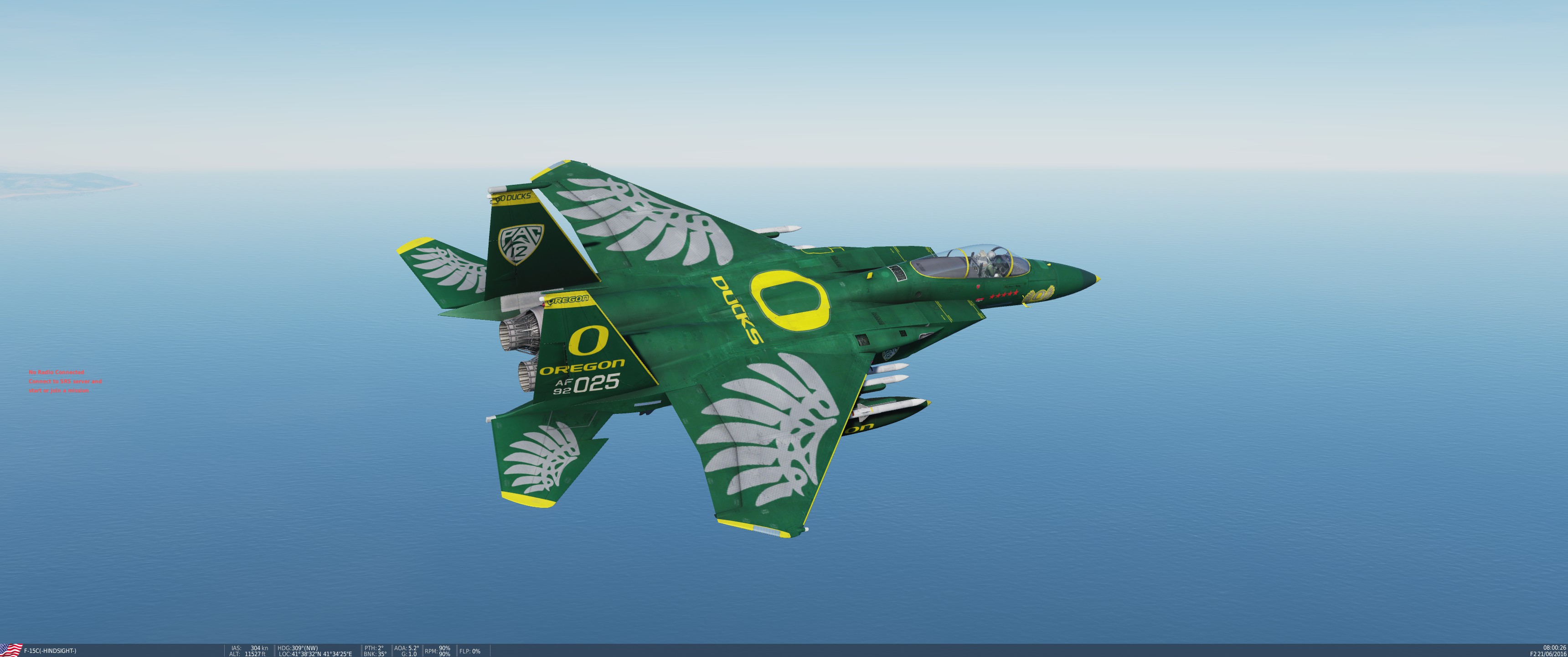 F-15C Green Ducks