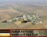 Belkan Air Force F-5 Tiger - Ace Combat Zero