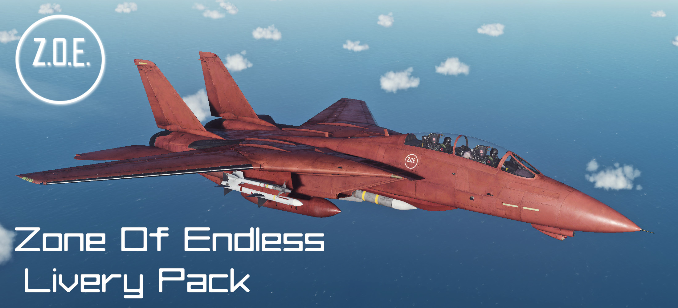 F-14B - Ace Combat 2: Zone Of Endless Livery Pack