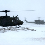 Calabrone123 & Razman