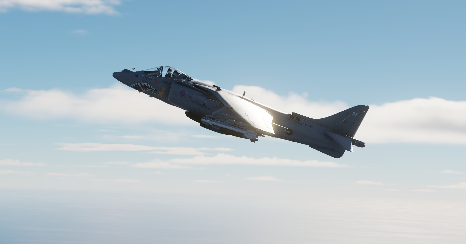 RAF Fictional Livery AV-8B Harrier 'Winnie The Pooh'