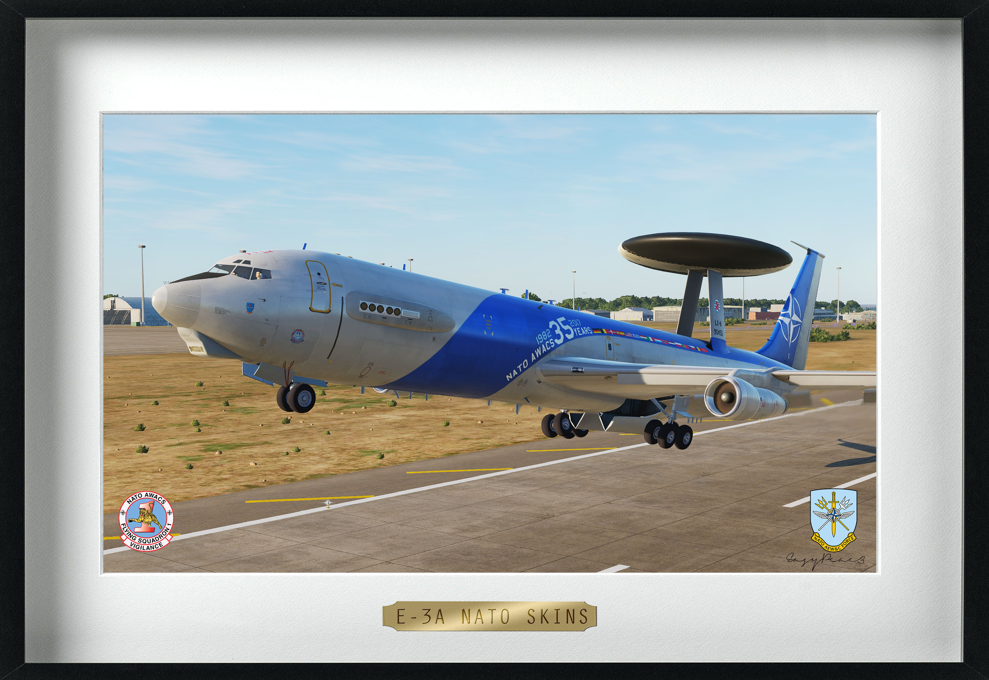 E-3A NATO skins