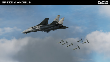 dcs-world-flight-simulator-09-f-14-speed-and-angels-campaign