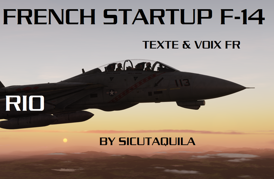  F-14 Training RIO Seat Startup FR - Texte & Voix