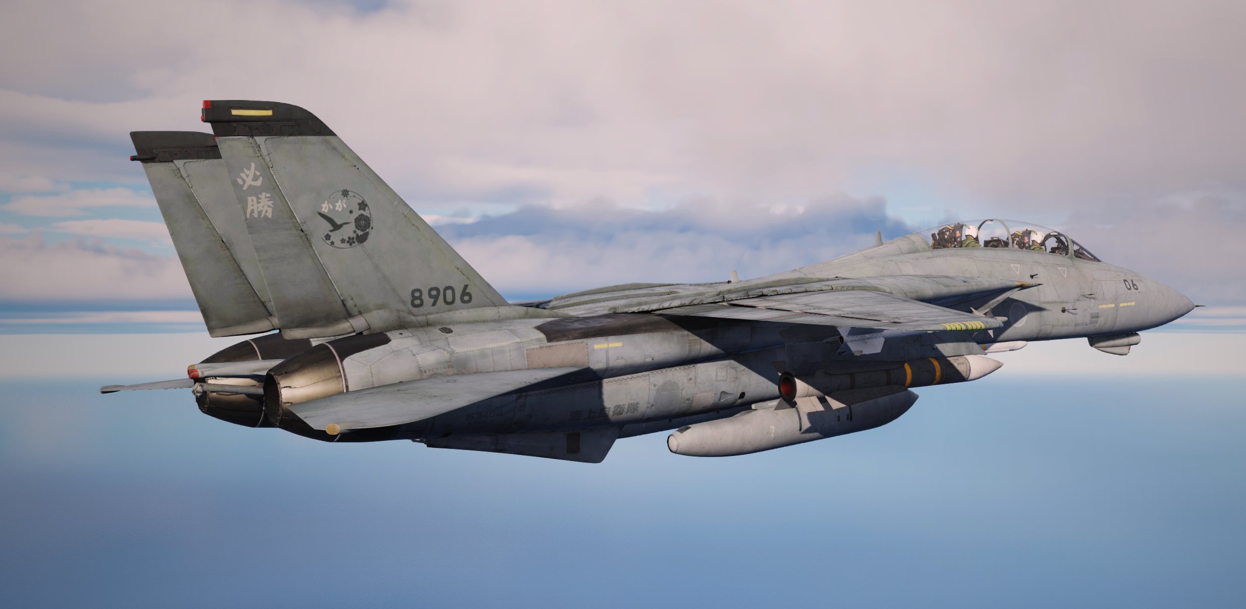 [Fictional] JMSDF F-14B