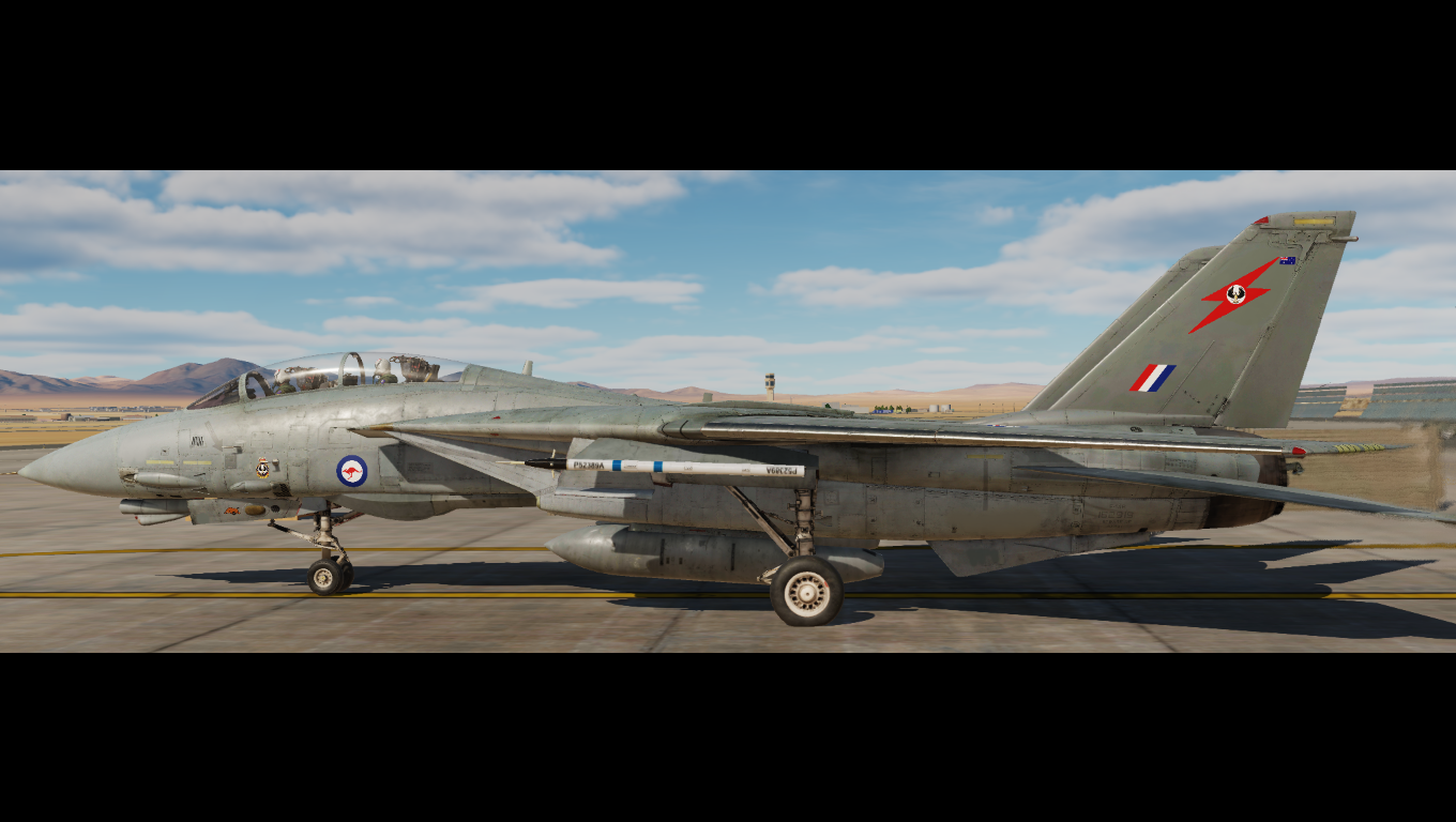 No. 2 Sqn RAAF Amberley (1982-2000)    ''Fictional Livery''