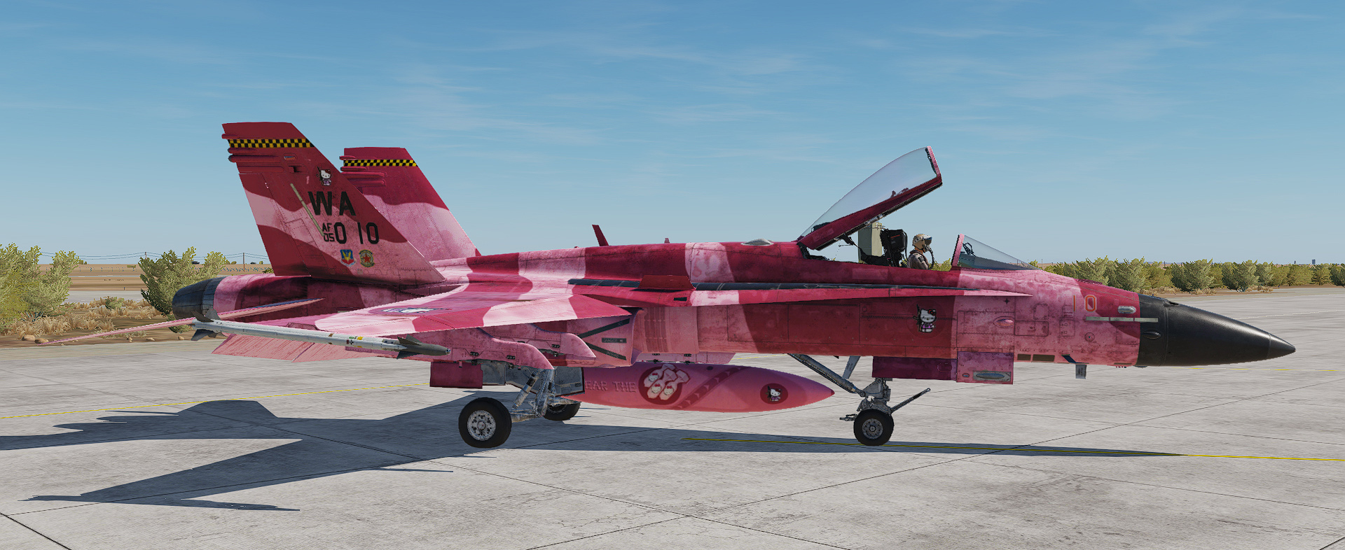 F/A-18C Hornet "War Kitty" camo