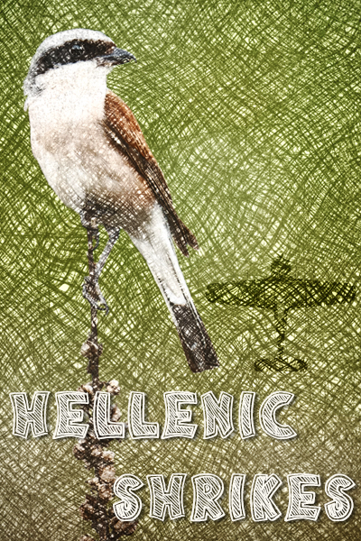 Hellenic Shrikes