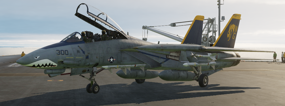 F14 Tomcat VF-192 (fictional) livery variants